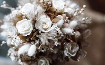 Studio Stojkovič: emozioni che diventano memoria